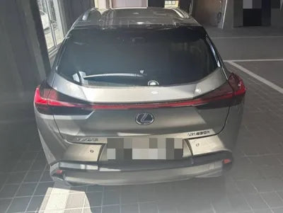 2019 Lexus UX 250 JTHY6JBH3K2002938 VIN:JTHY6JBH3K2002938