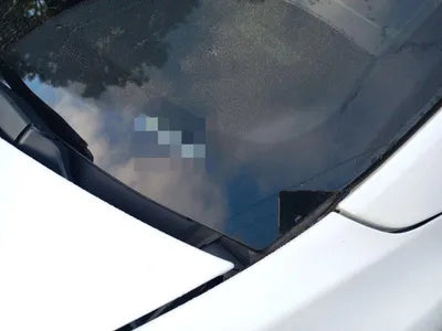 2022 Tesla Model 3 VIN: