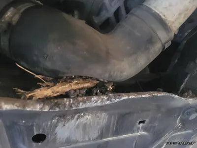 2015 Volvo XC70 VIN: