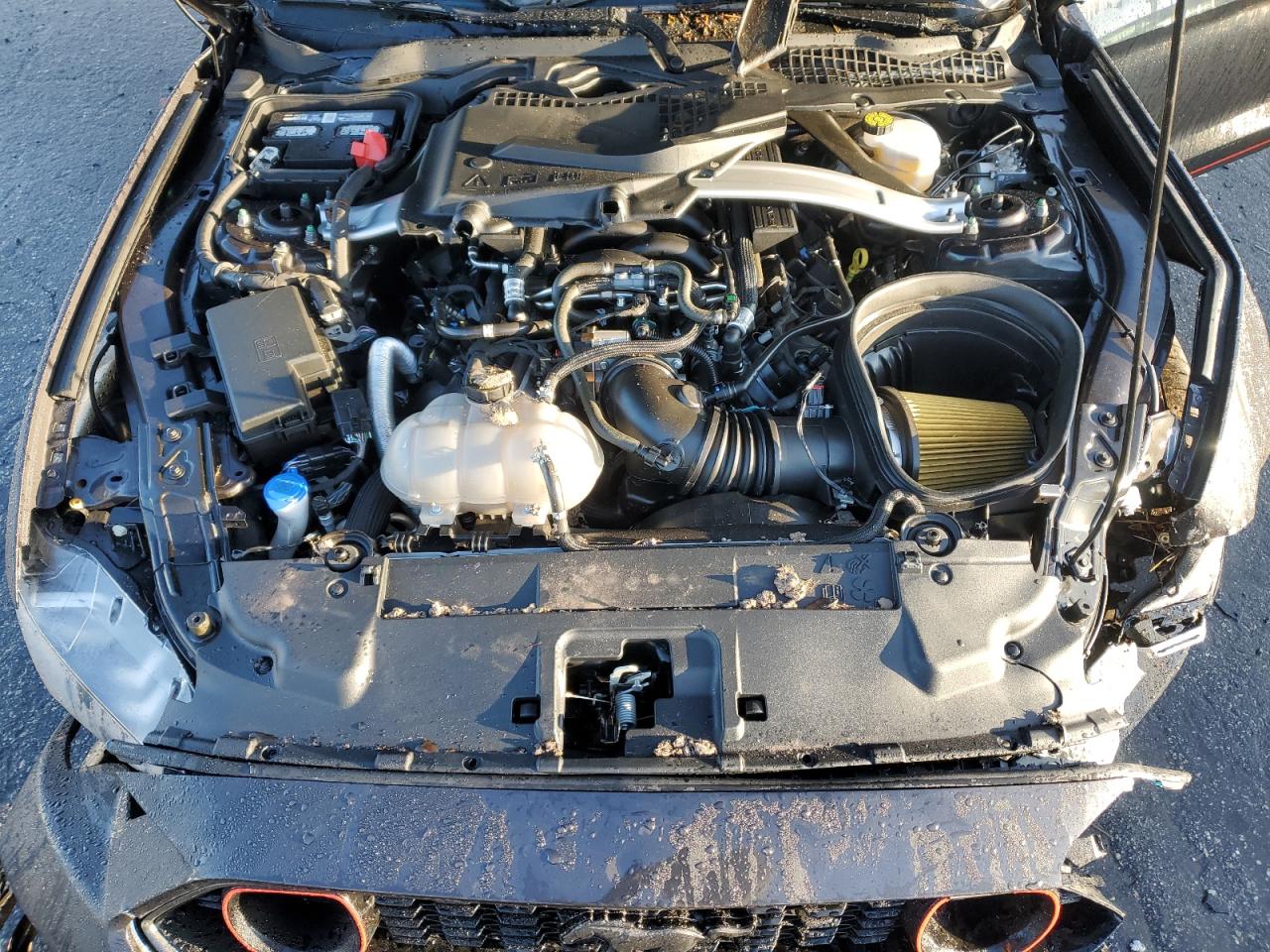 2022 FORD MUSTANG MACH I VIN:1FA6P8R04N5550356
