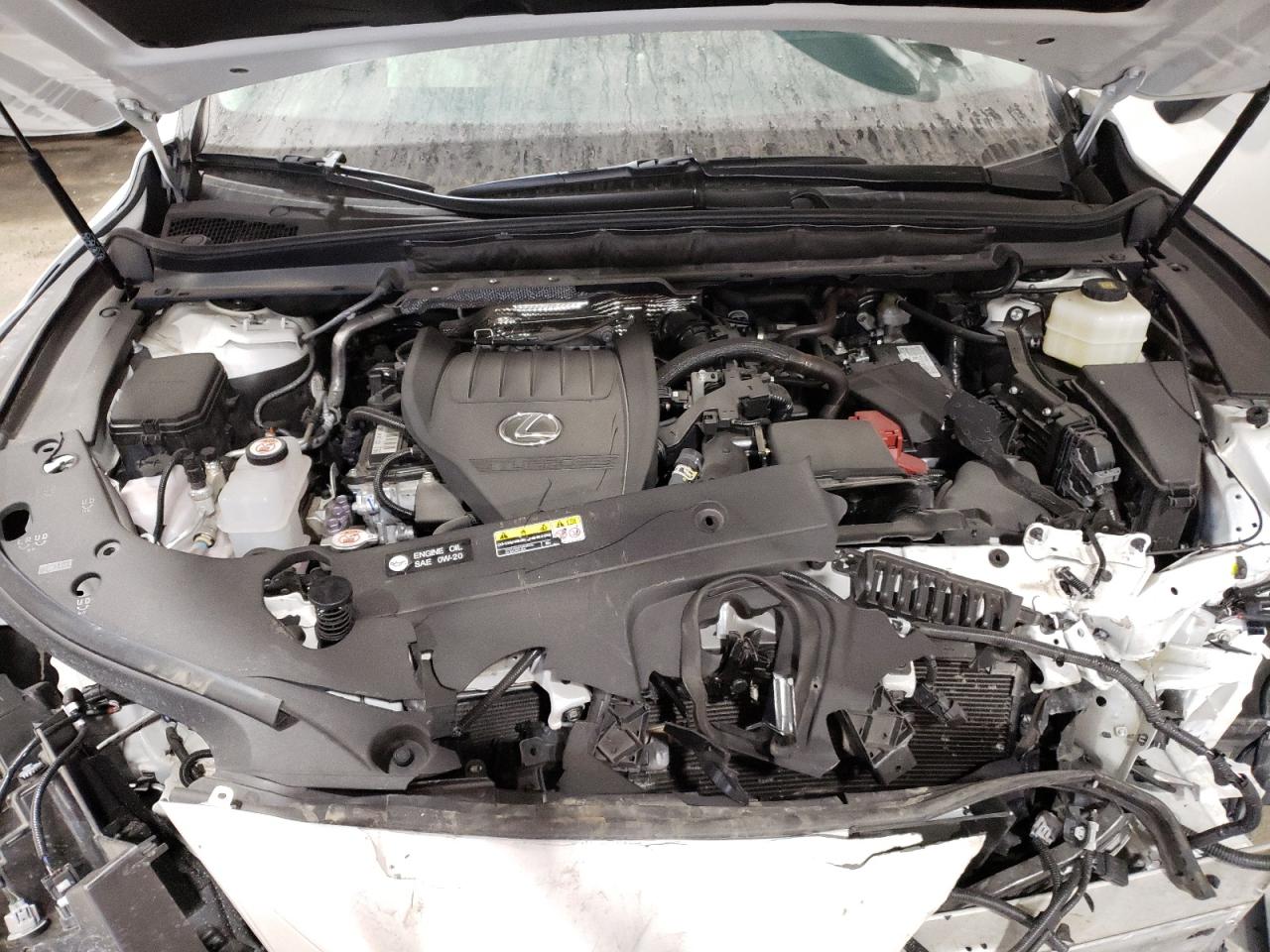 2024 LEXUS RX 350 BASE VIN:2T2BAMCA5RC043460