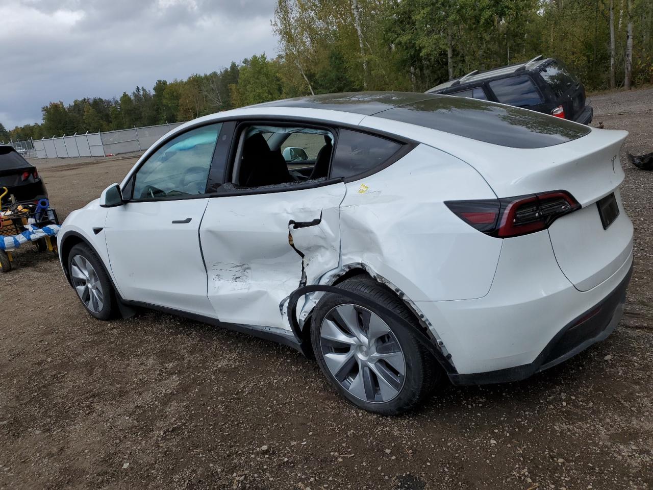2023 TESLA MODEL Y  VIN:LRWYGDFD5PC967631