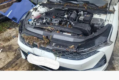 2023 Kia K5 KNAG3412BPA225562 VIN:KNAG3412BPA225562