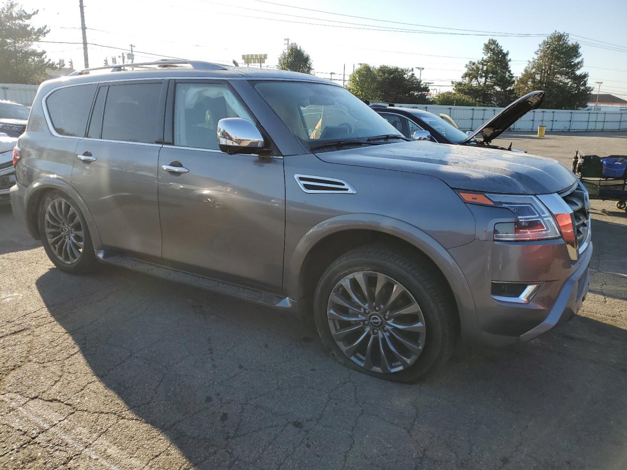 2023 NISSAN ARMADA PLATINUM VIN:JN8AY2DBXP9834663