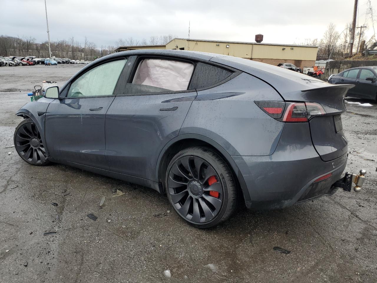 2023 TESLA MODEL Y  VIN:7SAYGDEFXPF698487