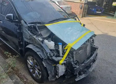 2019 Kia Sorento KNAPG81ABKA518571 VIN:KNAPG81ABKA518571