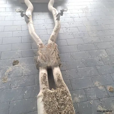 2021 BMW X4 M NONE VIN: