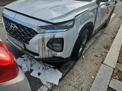 2020 Hyundai Santa FE KMHS281BBLU252014 VIN:KMHS281BBLU252014
