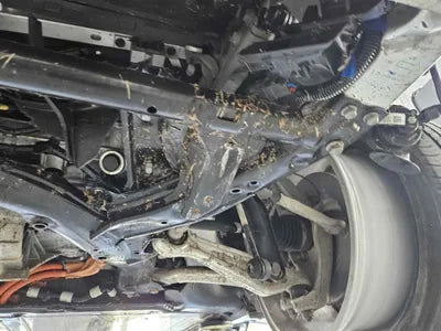 2022 Tesla Model 3 5YJ3E1EBXNF150396 VIN:5YJ3E1EBXNF150396
