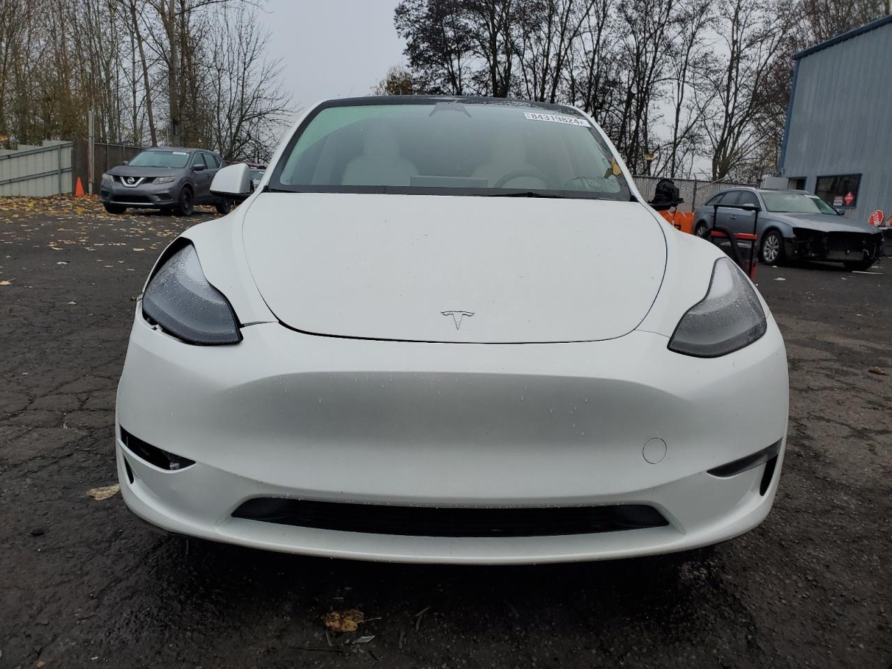2023 TESLA MODEL Y  VIN:7SAYGDEE0PF774709