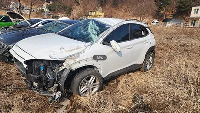 2020 Hyundai Kona KMHK4815GLU653352 VIN:KMHK4815GLU653352