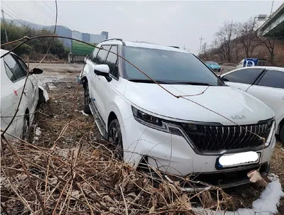 2022 Kia Carnival KNANE81BBNS170565 VIN:KNANE81BBNS170565