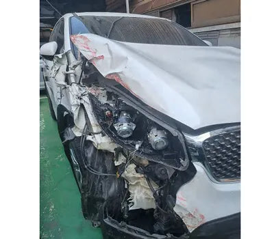 2016 Kia Sorento KNAPG81ABGA141824 VIN:KNAPG81ABGA141824