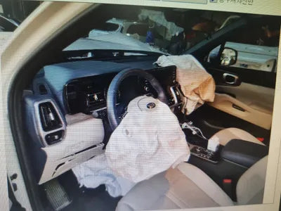 2021 Kia Sorento KNARL81GDMA044225 VIN:KNARL81GDMA044225