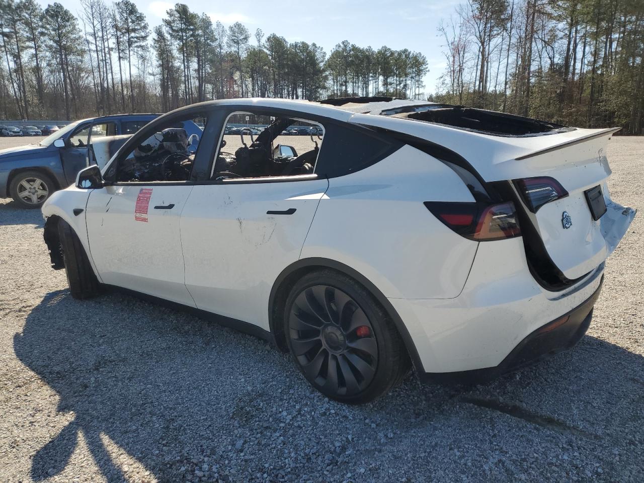 2024 TESLA MODEL Y  VIN:7SAYGDEF5RF183755