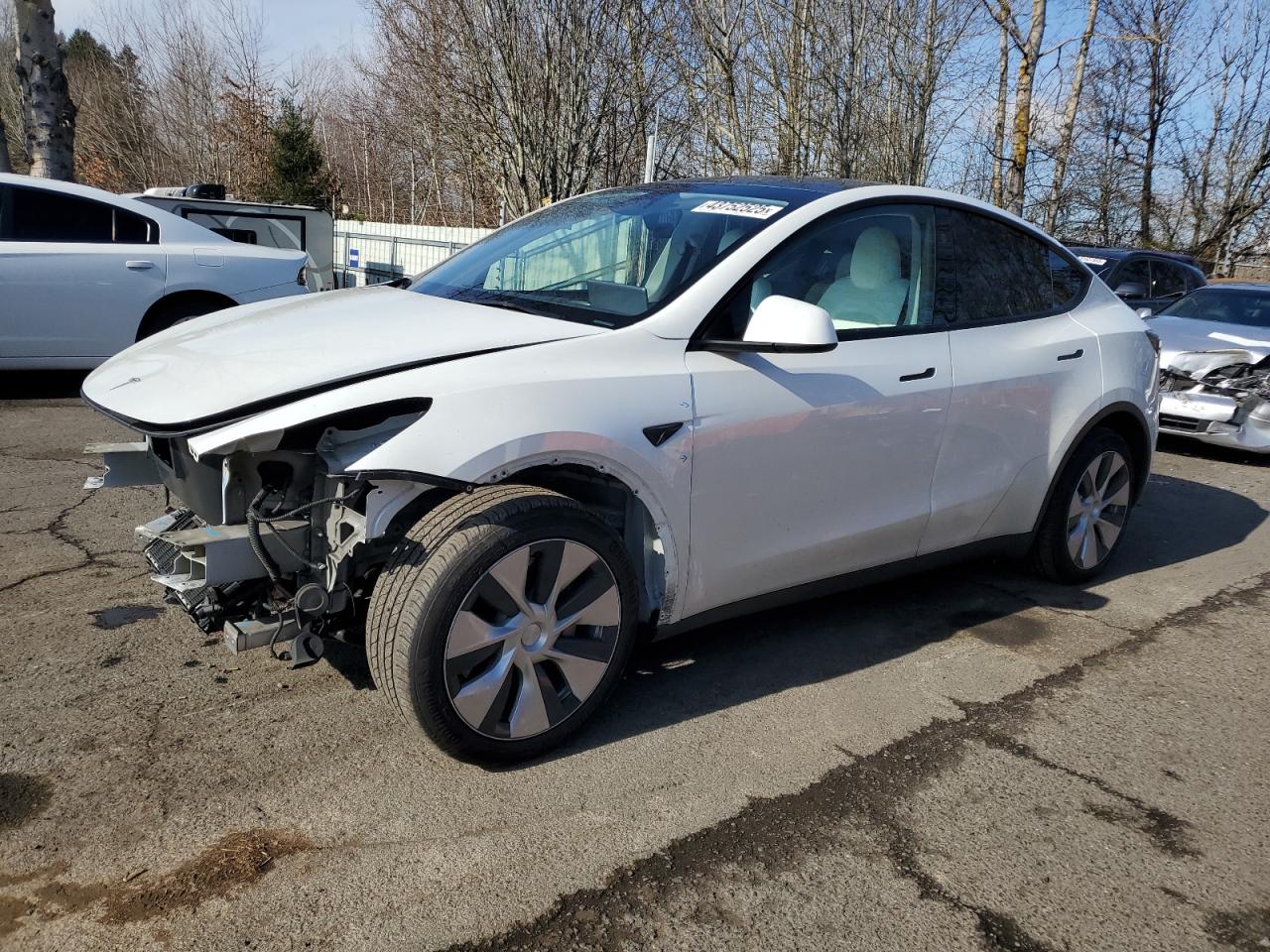 2023 TESLA MODEL Y  VIN:7SAYGDEE5PF831826
