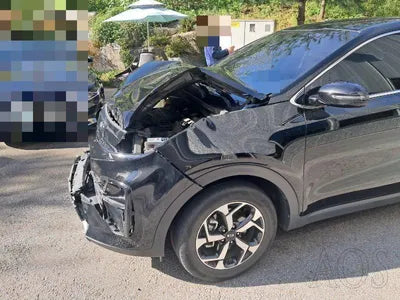 2019 Kia Sportage KNAPL812GKK737170 VIN:KNAPL812GKK737170