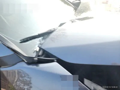 2021 Toyota RAV4 JTMDWRFV3MD094011 VIN:JTMDWRFV3MD094011