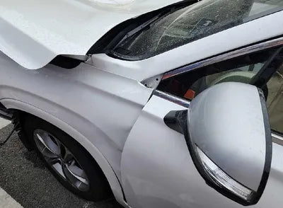 2019 Hyundai Santa FE KMHS581CBKU098716 VIN:KMHS581CBKU098716