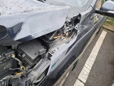 2017 Kia Sorento KNAPS81BBJA405834 VIN:KNAPS81BBJA405834