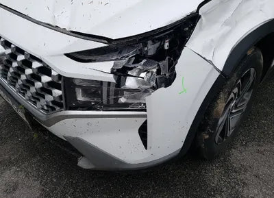 2021 Hyundai Santa FE KMHS281LGMU385620 VIN:KMHS281LGMU385620