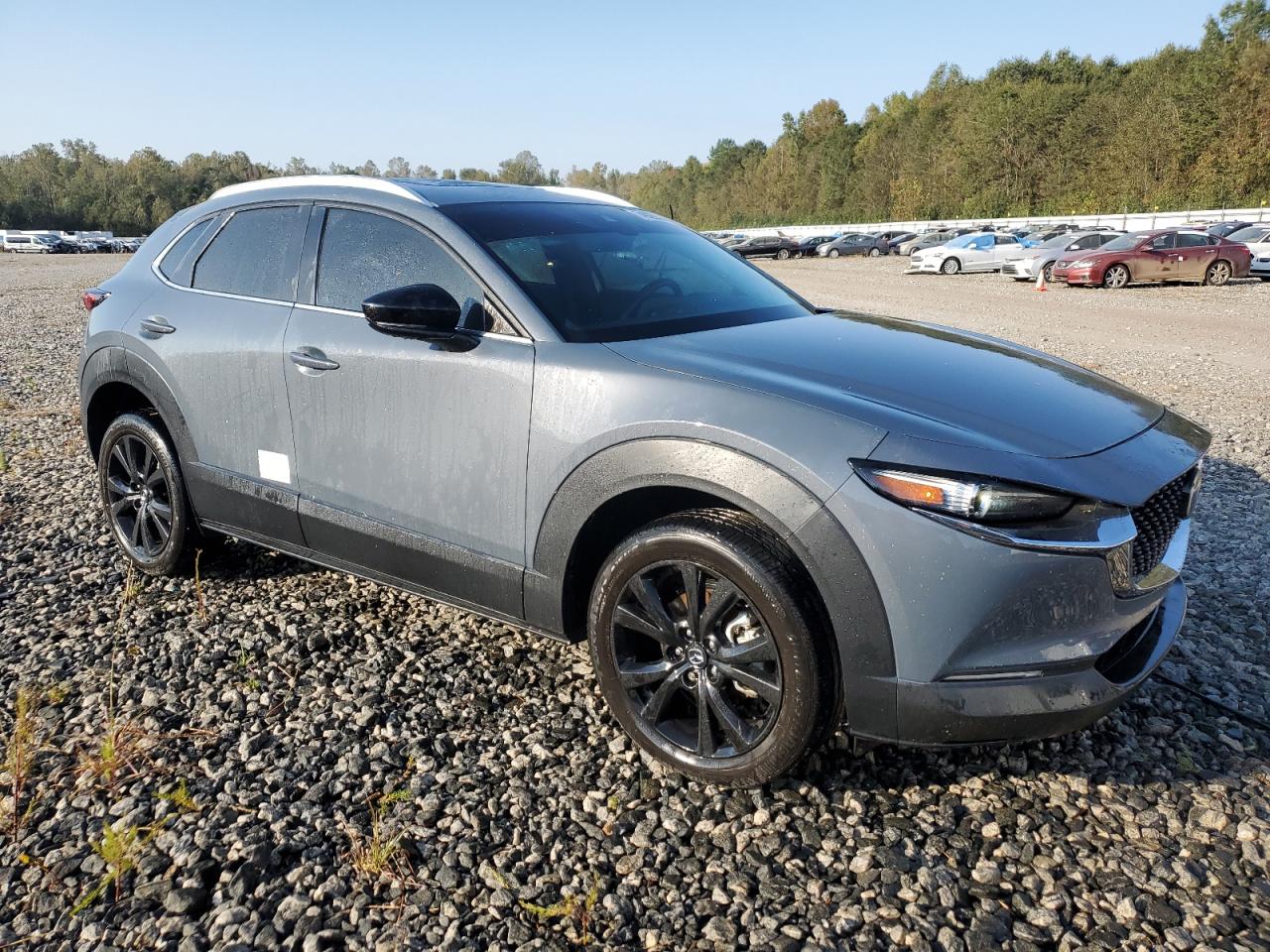 2022 MAZDA CX-30 PREFERRED VIN:3MVDMBCL4NM416532