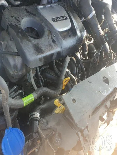 2019 Hyundai Tucson KMHJ3812GKU017297 VIN:KMHJ3812GKU017297