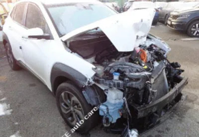 2022 Hyundai Kona KMHK381EGNU076135 VIN:KMHK381EGNU076135