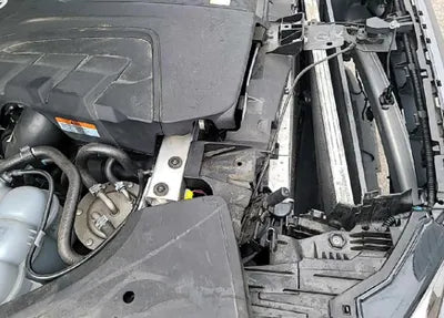 2020 Audi 50 WAUZZZF11LD019703 VIN:WAUZZZF11LD019703