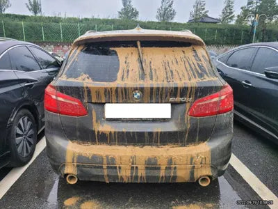 2021 BMW 2 Series Gran Tourer WBA6T9106M7G92945 VIN:WBA6T9106M7G92945