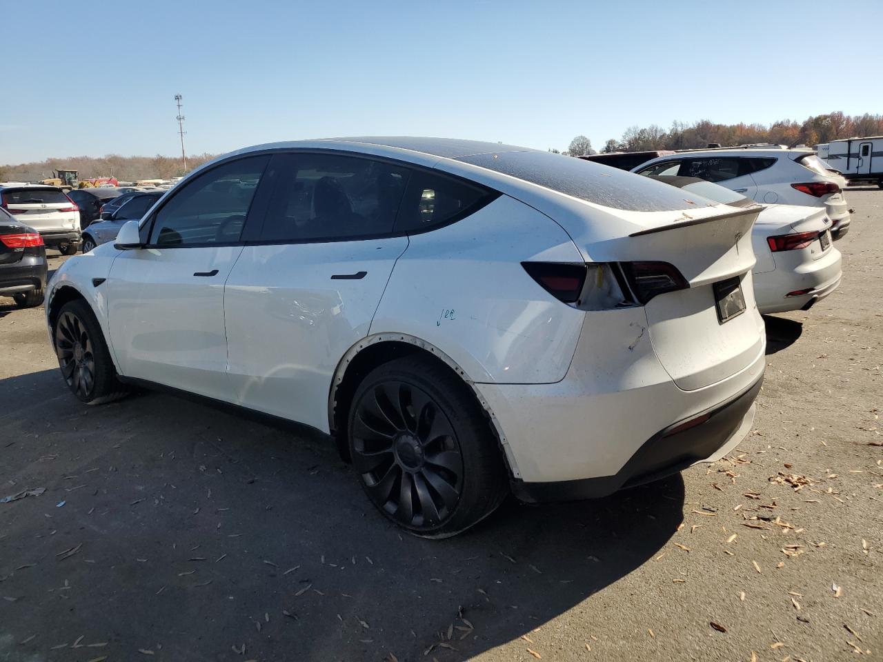 2023 TESLA MODEL Y  VIN:7SAYGDEEXPA052211