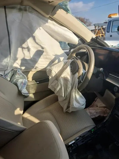 2021 Kia Carnival KNANE813BMS094821 VIN:KNANE813BMS094821