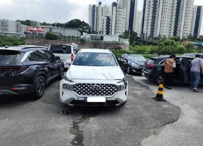 2021 Hyundai Santa FE KMHS281LGMU385620 VIN:KMHS281LGMU385620
