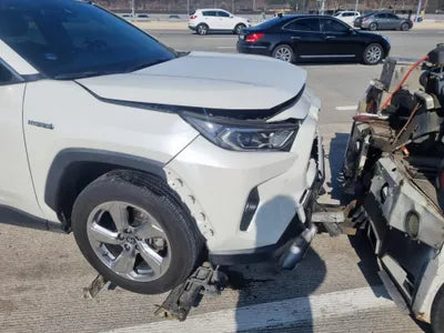 2020 Toyota RAV4 JTMDWRFV7LD545648 VIN:JTMDWRFV7LD545648