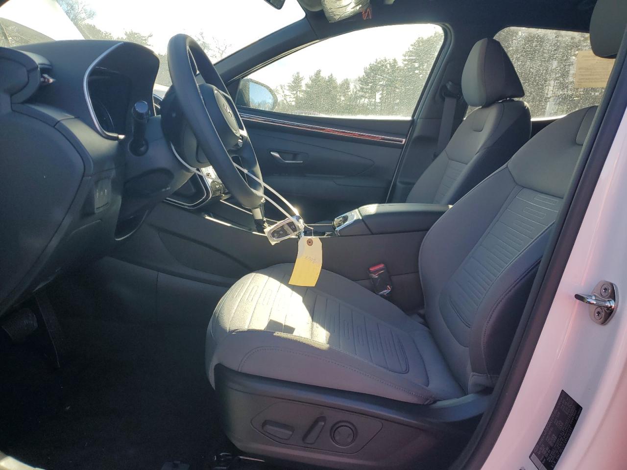 2024 HYUNDAI SANTA CRUZ SEL VIN:5NTJBDDEXRH116593