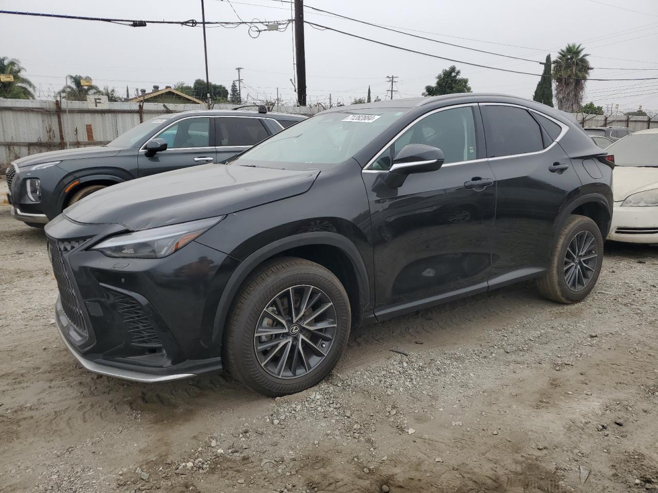 2024 LEXUS NX 250 BASE VIN:2T2ADCAZXRC013196