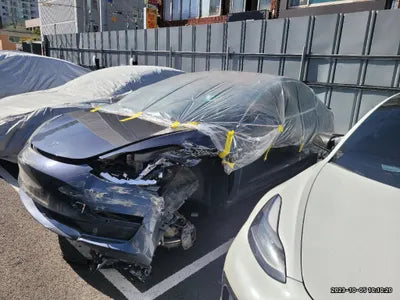 2020 Tesla Model 3 5YJ3E1EB9LF649316 VIN:5YJ3E1EB9LF649316