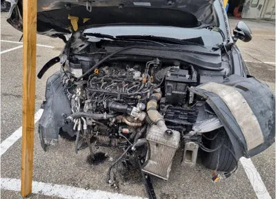 2019 Hyundai Santa FE KMHS381BBKU066114 VIN:KMHS381BBKU066114