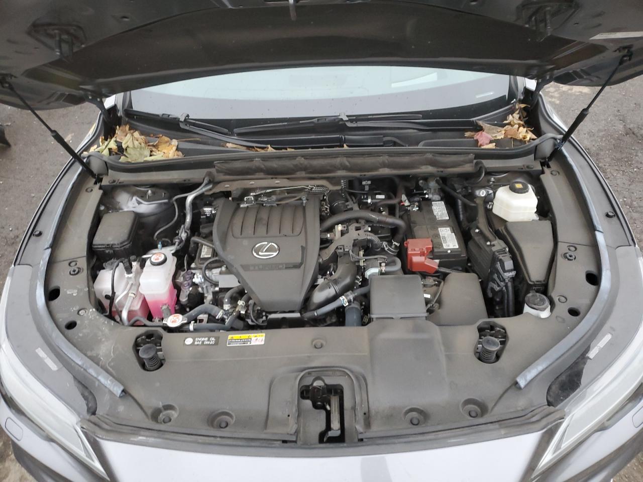 2023 LEXUS RX 350 BASE VIN:2T2BAMCA1PC017774