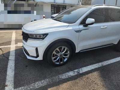 2021 Kia Sorento KNARL81BGMA107329 VIN:KNARL81BGMA107329