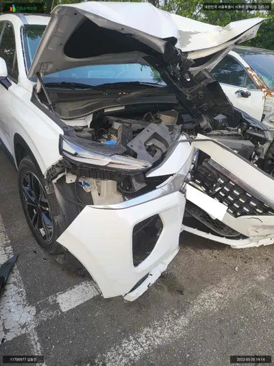2019 Hyundai Santa FE KMHS381ABLU193107 VIN:KMHS381ABLU193107