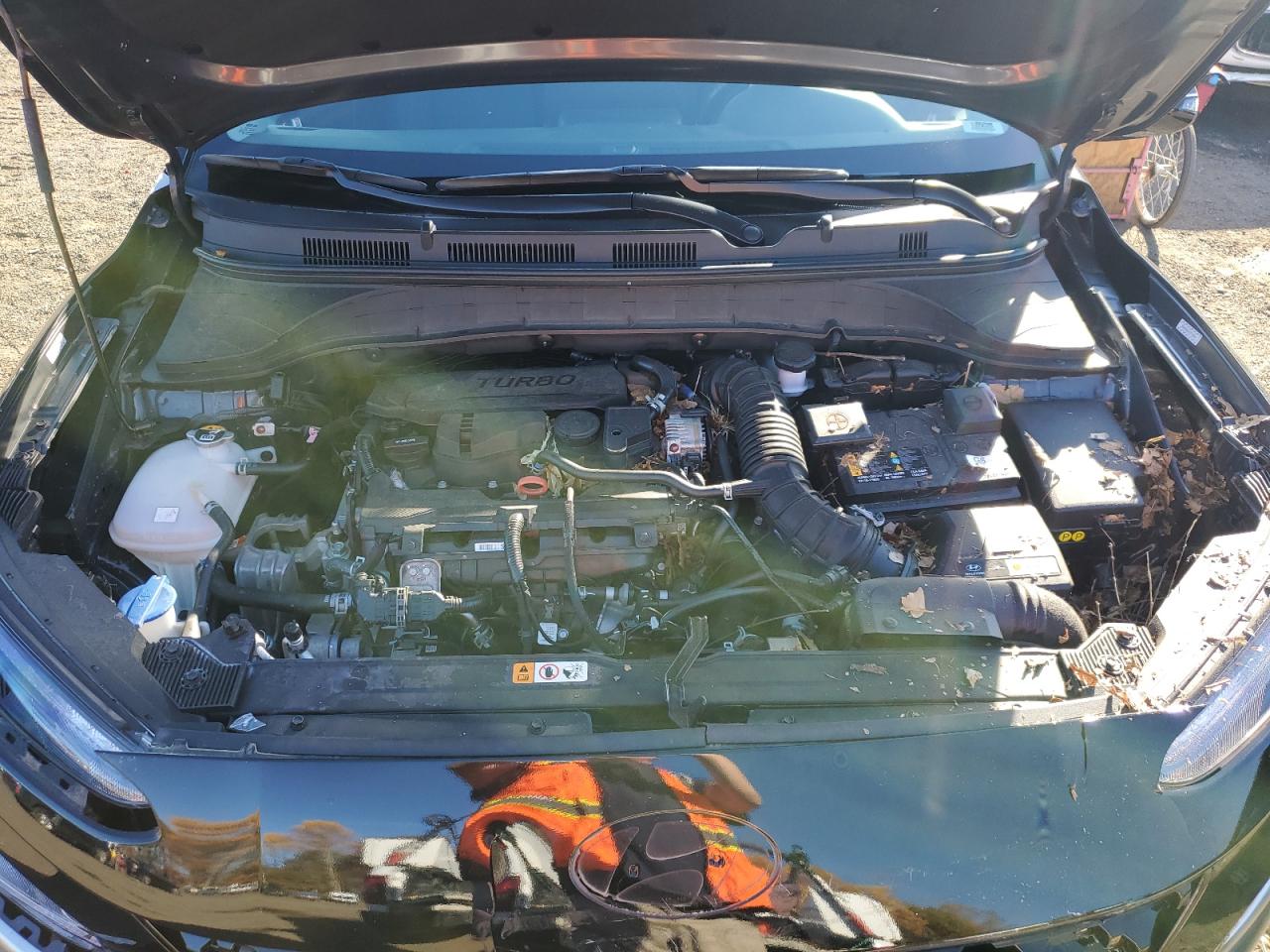 2023 HYUNDAI KONA LIMITED VIN:KM8K5CA3XPU934895