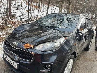 2016 Kia Sportage KNAP6815GGK024990 VIN:KNAP6815GGK024990