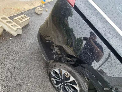 2021 Kia Carnival KNANC81BBMS050231 VIN:KNANC81BBMS050231
