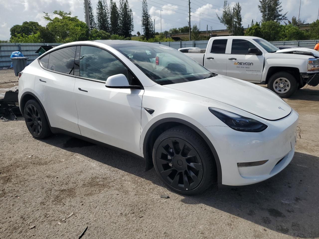 2023 TESLA MODEL Y  VIN:7SAYGDEE3PA166101