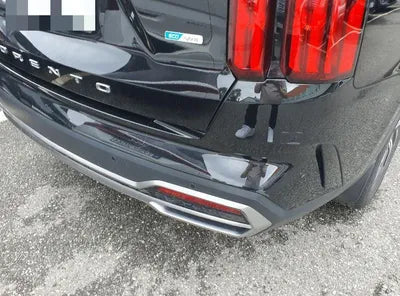 2021 Kia Sorento KNARJ81GDMA034439 VIN:KNARJ81GDMA034439