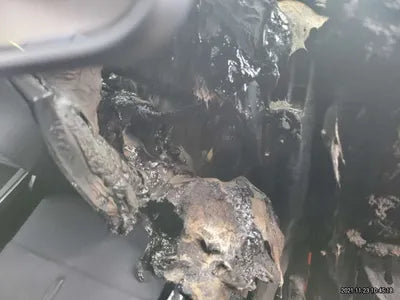2020 Tesla Model 3 5YJ3E1EA5LF756516 VIN:5YJ3E1EA5LF756516