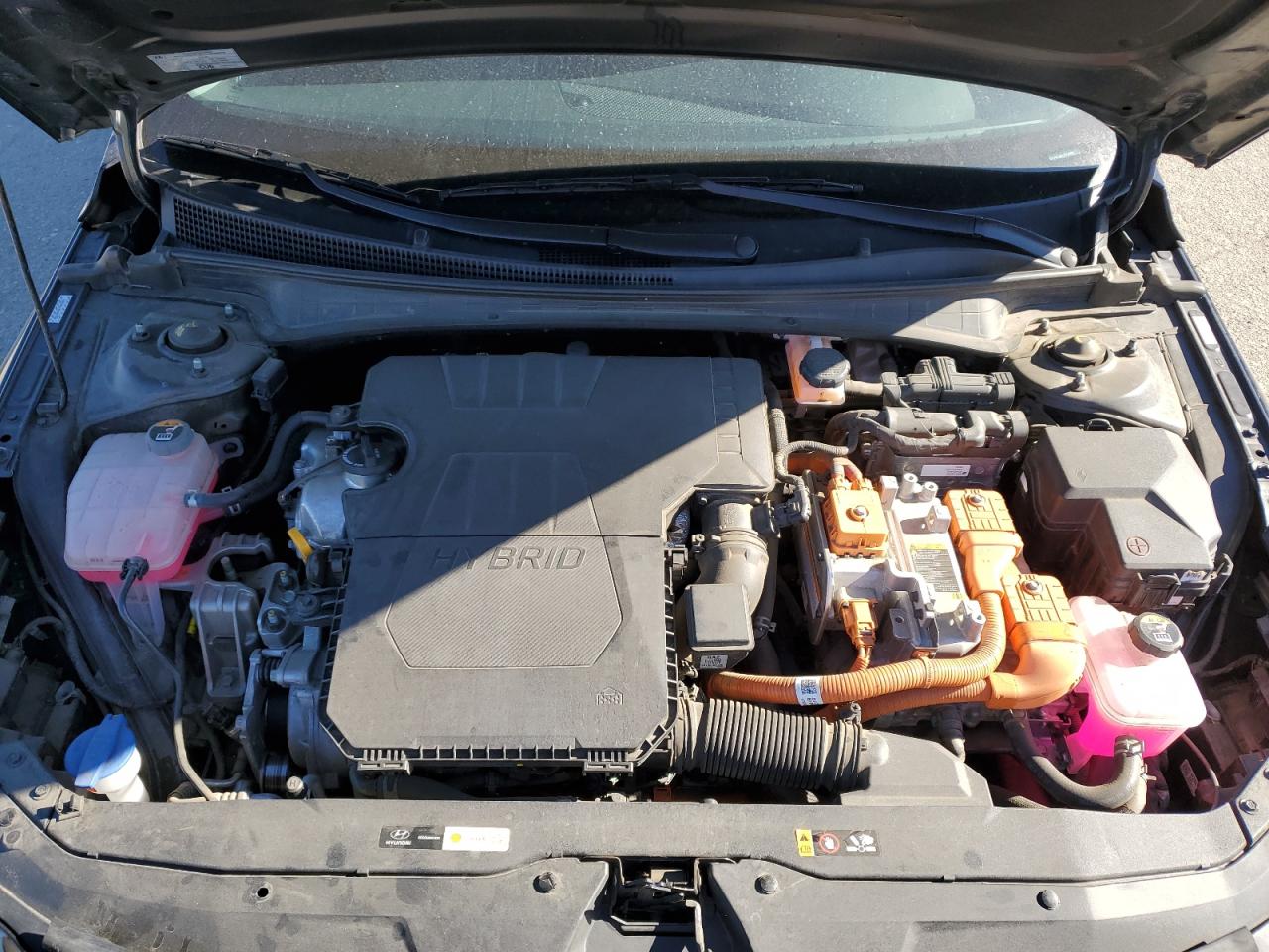 2023 HYUNDAI ELANTRA LIMITED VIN:KMHLN4AJ6PU059338