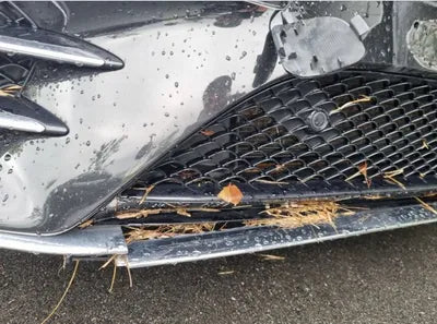 2020 Mercedes-Benz S 450 W1KUG6EB0LA530273 VIN:W1KUG6EB0LA530273