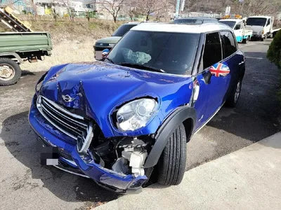 2015 MINI Countryman WMWXD5103FWT61031 VIN:WMWXD5103FWT61031